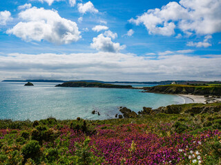 landscape of the sea