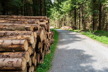 Stack of logs at the side of a forest road. Deforestation and climate change impact in Ireland.