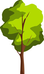 Tree. A tall, green, beautiful tree. A simple tree silhouette icon. Illustration of a flat tree icon on a white background.