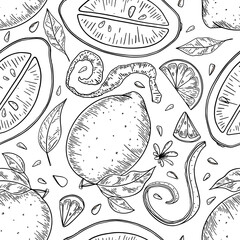 Lemon fruit hand drawn seamless pattern with black outlines on white background for textile, print, background, highlights. Vector illustration