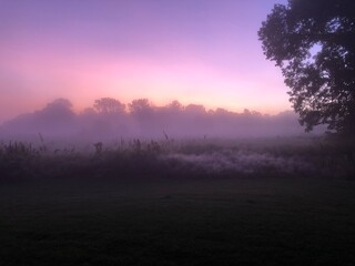Sunrise in the misty pink