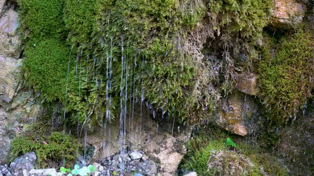  Forest Water Jet on mossy rocks - (4K)