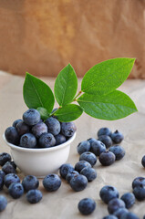 Freshly picked blueberries in a white bowl. Juicy and fresh blueberries with green leaves. Antioxidant. Healthy food concept. Healthy organic seasonal fruits background.