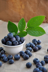 Freshly picked blueberries in a white bowl. Juicy and fresh blueberries with green leaves. Antioxidant. Healthy food concept. Healthy organic seasonal fruits background.