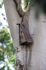 Wooden birdhouse for birds on a tree in the park. Simple birdhouse design. 