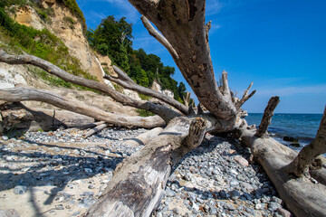 R&uuml;gener Kreisek&uuml;ste bei Sassnitz