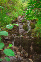 Fototapeta premium L'écot, col des Evettes, haute Maurienne, parc national de la Vanoise