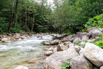 Mountain rivers, sources of ecologically clean water reserves on the planet, originating high in the mountains .