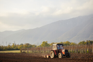 Obraz premium tractor in field