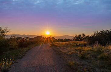 Desert Sun Rising On Hiking Trail In Scottsdale Arizona