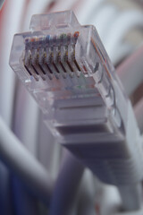 connector of a network cable rg 45. close-up.