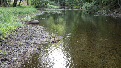 a tire from a car in the river pollutes the environment. discarded tires from cars garbage in the river. Beautiful small shallow river in Latvia