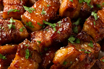 Chinese traditional cuisine sticky braised pork belly with rice on white plate