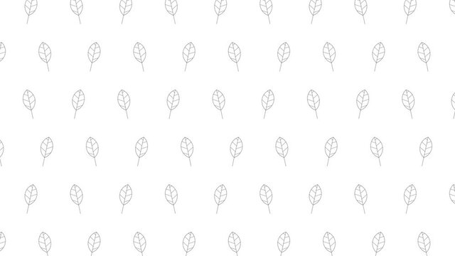 Elm tree leaves black thin line icons on a white background. Seamless loop motion graphic pattern with animated leaves in geometric grid