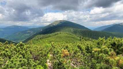 Very beautiful nature of the mountains. Hike to the Carpathians. Just unforgettable mountains, forest, sun, clouds. Live nature. The freedom to live.