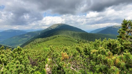 Fototapeta na wymiar Very beautiful nature of the mountains. Hike to the Carpathians. Just unforgettable mountains, forest, sun, clouds. Live nature. The freedom to live.