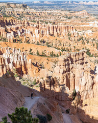 Bryce Canyon National Park landscape view