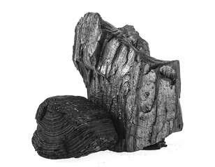 Two pieces of natural wood charcoal isolated on a white background. Traditional charcoal.