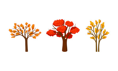 Naklejka na ściany i meble Red and orange autumn trees set. Fall tree for garden, park and forest landscape design vector illustration