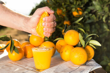 male hand squeezes juice from half orange into glass on table in garden