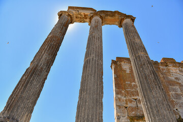 Ancient Columns

