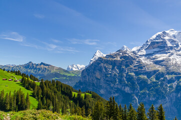 Fototapeta premium View on Swiss Alps on sunny day near Murren, Switzerland.
