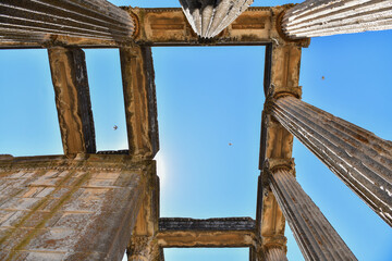 Pillars of the Temple of Zeus
