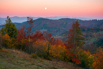 moon rise above snow covered ridge. wonderful autumn landscape of carpathian mountains in late autumn. nature scenery at twilight