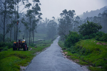 Fototapeta na wymiar Munnar Plantation roads