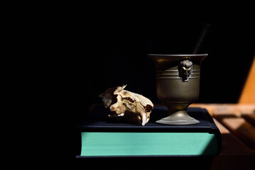 A bony rat skull and a metal mortar on a book with green pages, against a dark background with space for text. The light shines from the side