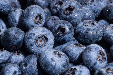 Fresh blueberries with water drops