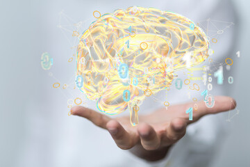 3d rendered medically accurate illustration brain