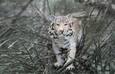 symbol of 2022 tiger on the background of the Christmas tree