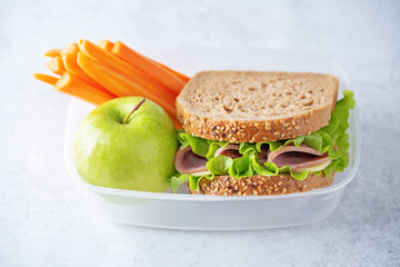 Healthy school lunch with a sandwich and fresh fruits in a box