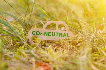 There is a wooden car in the grass that says - CO2 neutral