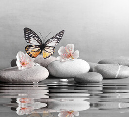 flower, butterfly and stone zen spa on grey background