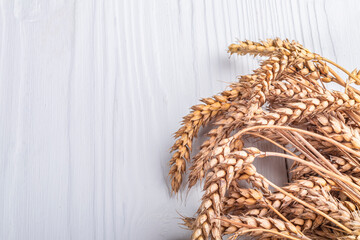 white wooden background in retro, vintage style. on it are cut ears of wheat. copy the space. text