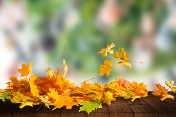 Naklejka na ściany i meble Colored autumn leaves on wooden planks