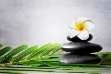 Fototapeta na wymiar Spa stones with palm branch and flower on light background. Space for text