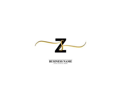 Letter ZS Logo, creative zs sz signature logo for wedding, fashion, apparel and clothing brand or any kind of business