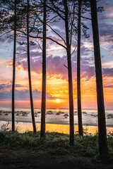 Colorful sunset over the Baltic sea from the pine forest viewpoint. Cloud reflections in calm water.