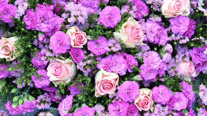 Blumen, rosa, pink, Blumenhintergrund - 452381891