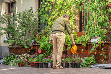 woman watering potted flowers in the yard of a flower shop, small business concept