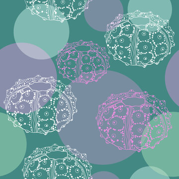 Urchins