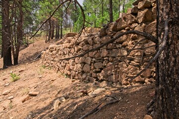 An old rock wall is stacked about six feet high on a hillside near an old mining location.