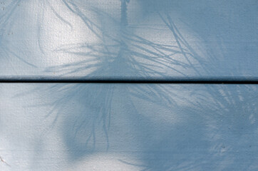 The pine branch shadow on a wooden surface painted grey 