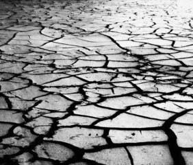 dry cracked soil
