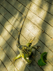 Jardín Botánico