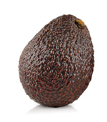 one fresh haas avocado on white isolated background