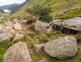 Panoramic idyllic view of Glendalough Valley, County Wicklow Upper lake from miners way, Glenealo valley, Wicklow way, County Wicklow, Ireland.